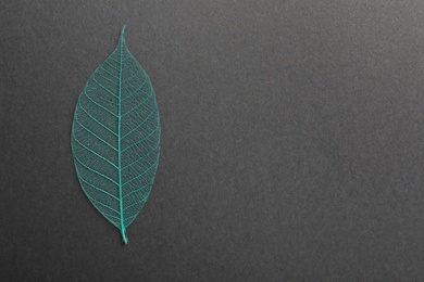 Beautiful decorative skeleton leaf and space for text on black background, top view