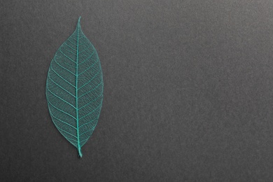 Photo of Beautiful decorative skeleton leaf and space for text on black background, top view