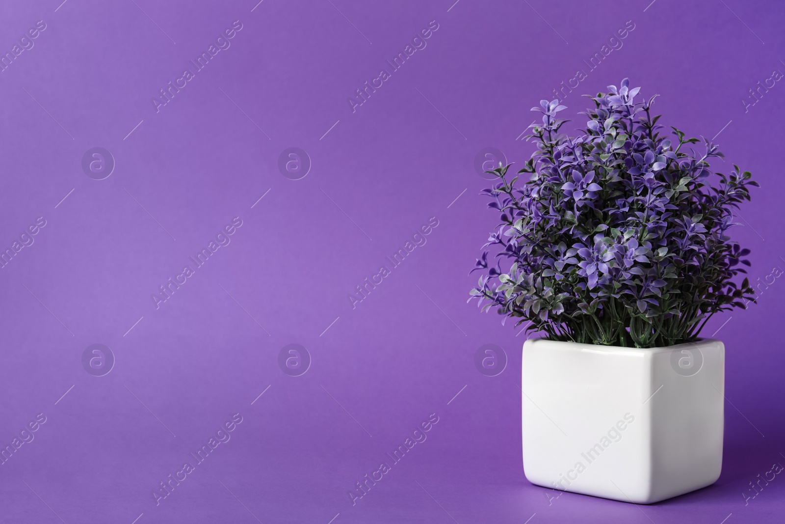 Photo of Beautiful artificial plant in flower pot on purple background, space for text