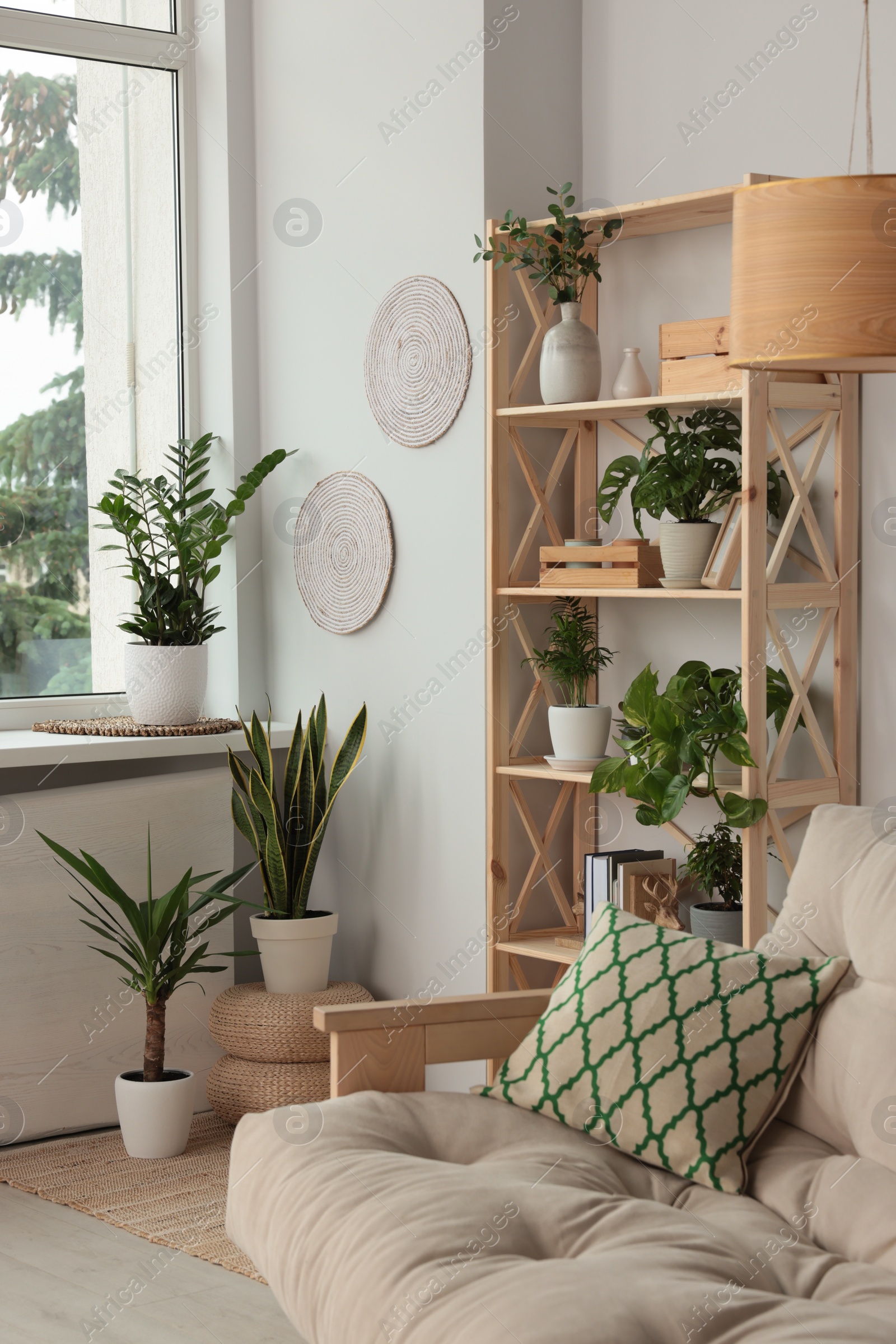 Photo of Stylish room interior with beautiful house plants. Home design idea