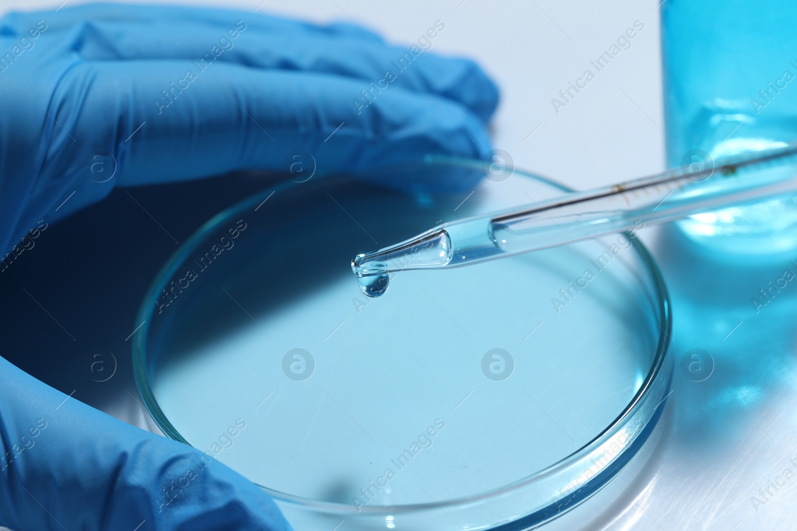 Photo of Scientist dripping liquid from pipette into petri dish at white table, closeup