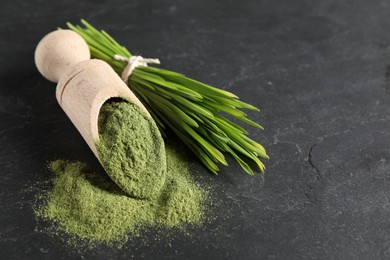 Photo of Wheat grass powder in scoop and fresh sprouts on grey textured table, closeup. Space for text