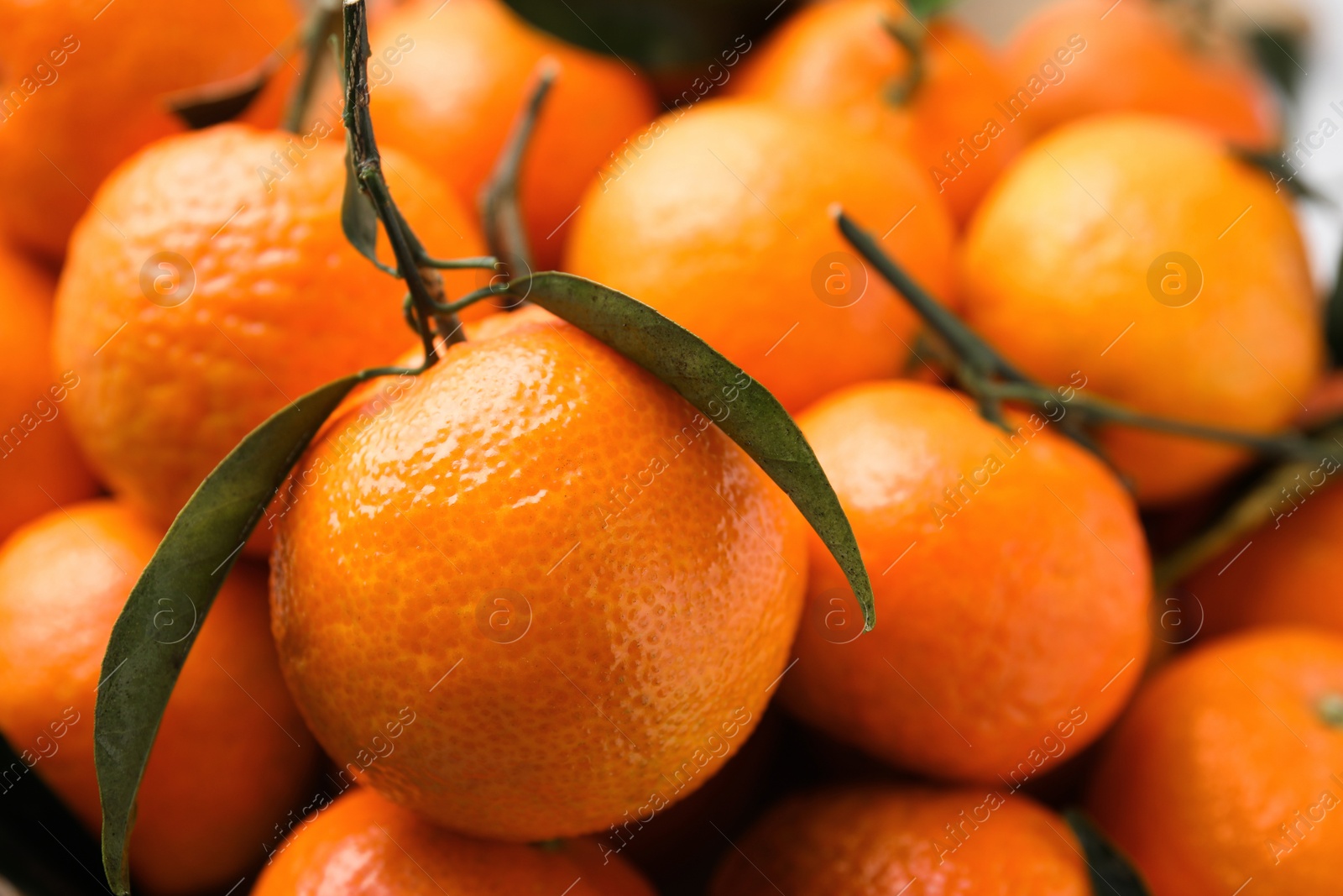 Photo of Fresh ripe tangerines and leaves as background, closeup