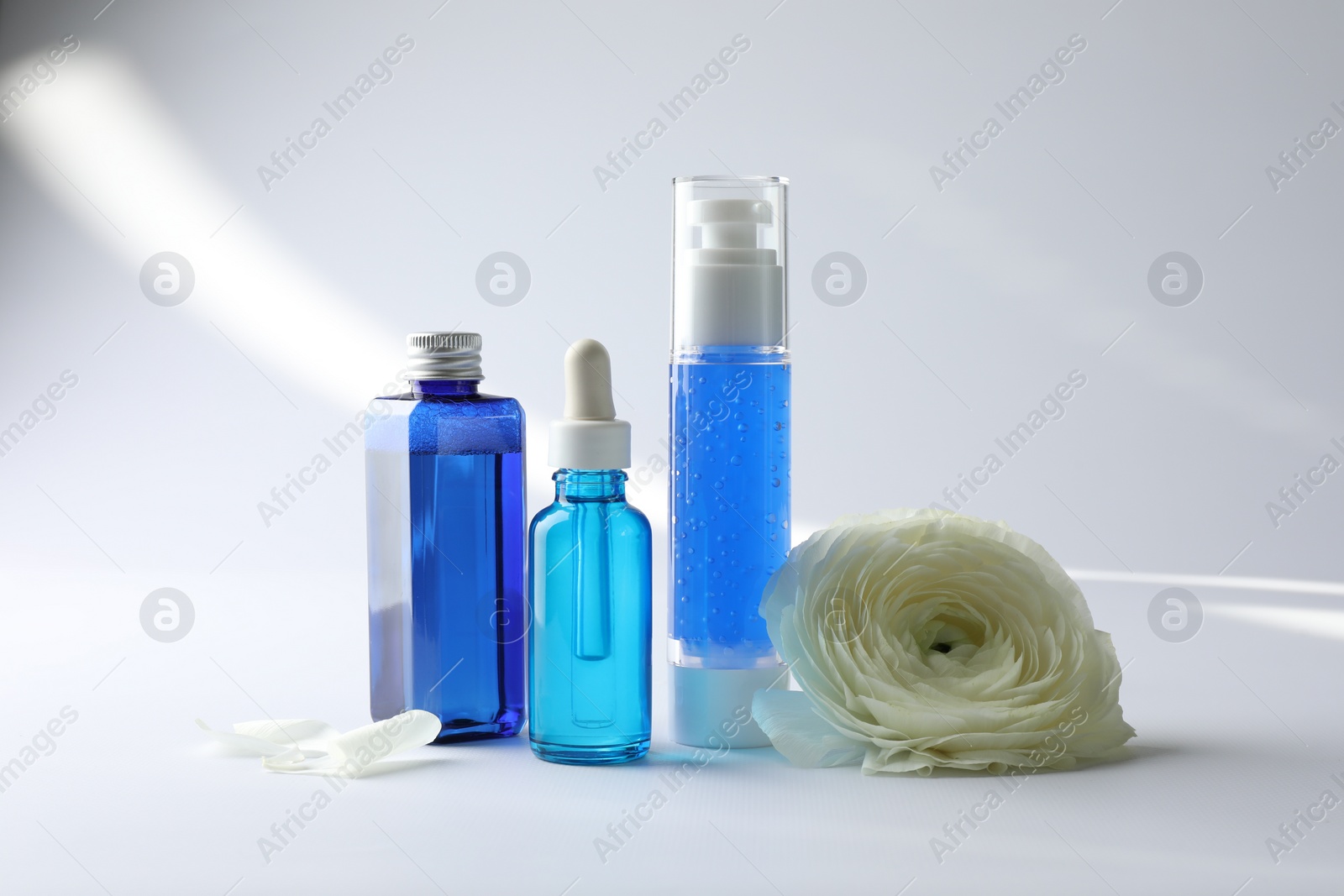 Photo of Set of luxury cosmetic products and gentle flower on white background