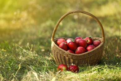 Photo of Wicker basket with ripe apples on ground