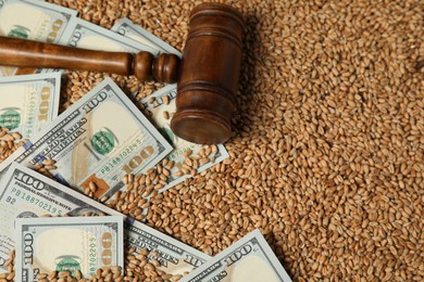 Photo of Dollar banknotes and wooden gavel on wheat grains, above view. Agricultural business