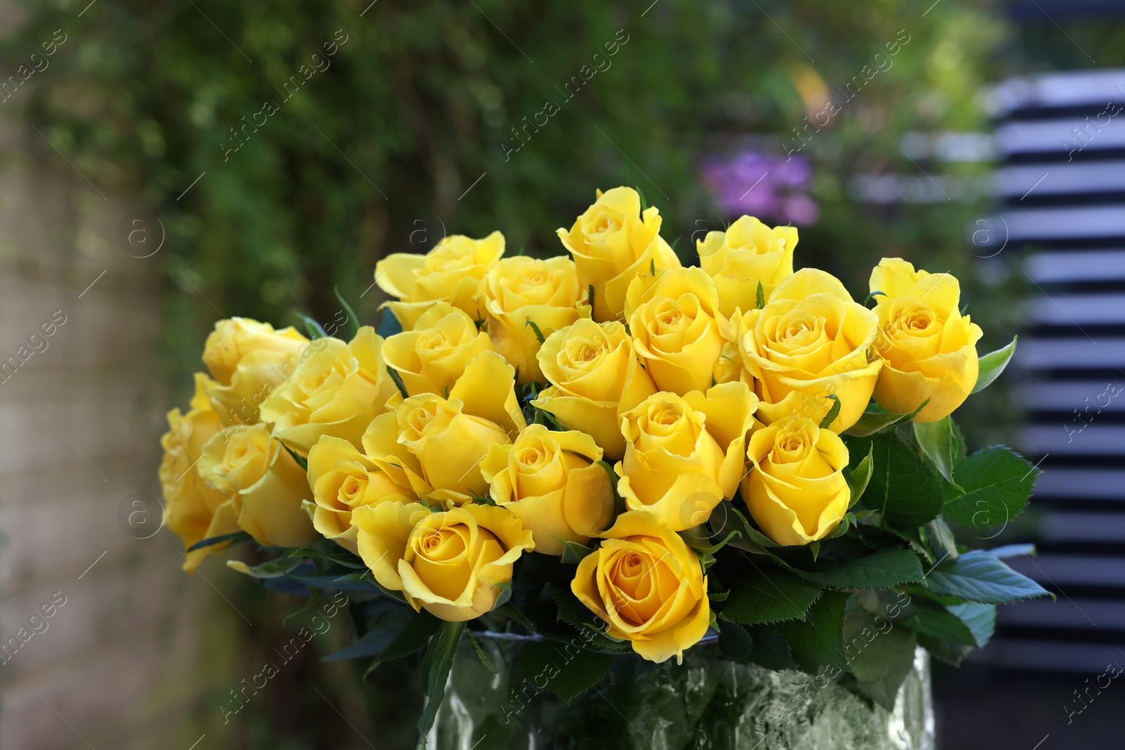 Photo of Beautiful bouquet of yellow roses in glass vase outdoors