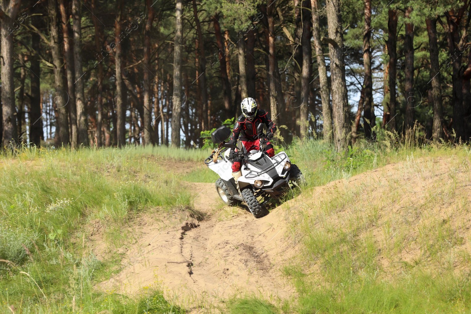 Photo of Man driving modern quad bike on sandy road near forest. Extreme sport