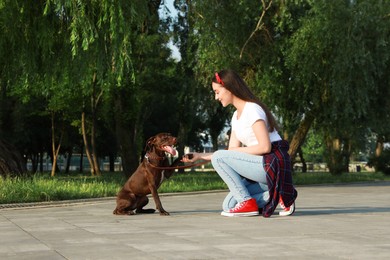 Photo of Young woman with her German Shorthaired Pointer dog in park