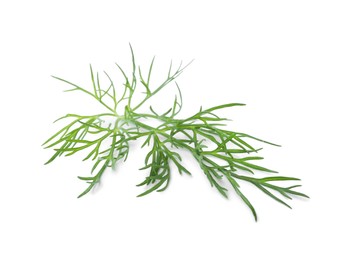 Sprig of fresh dill isolated on white