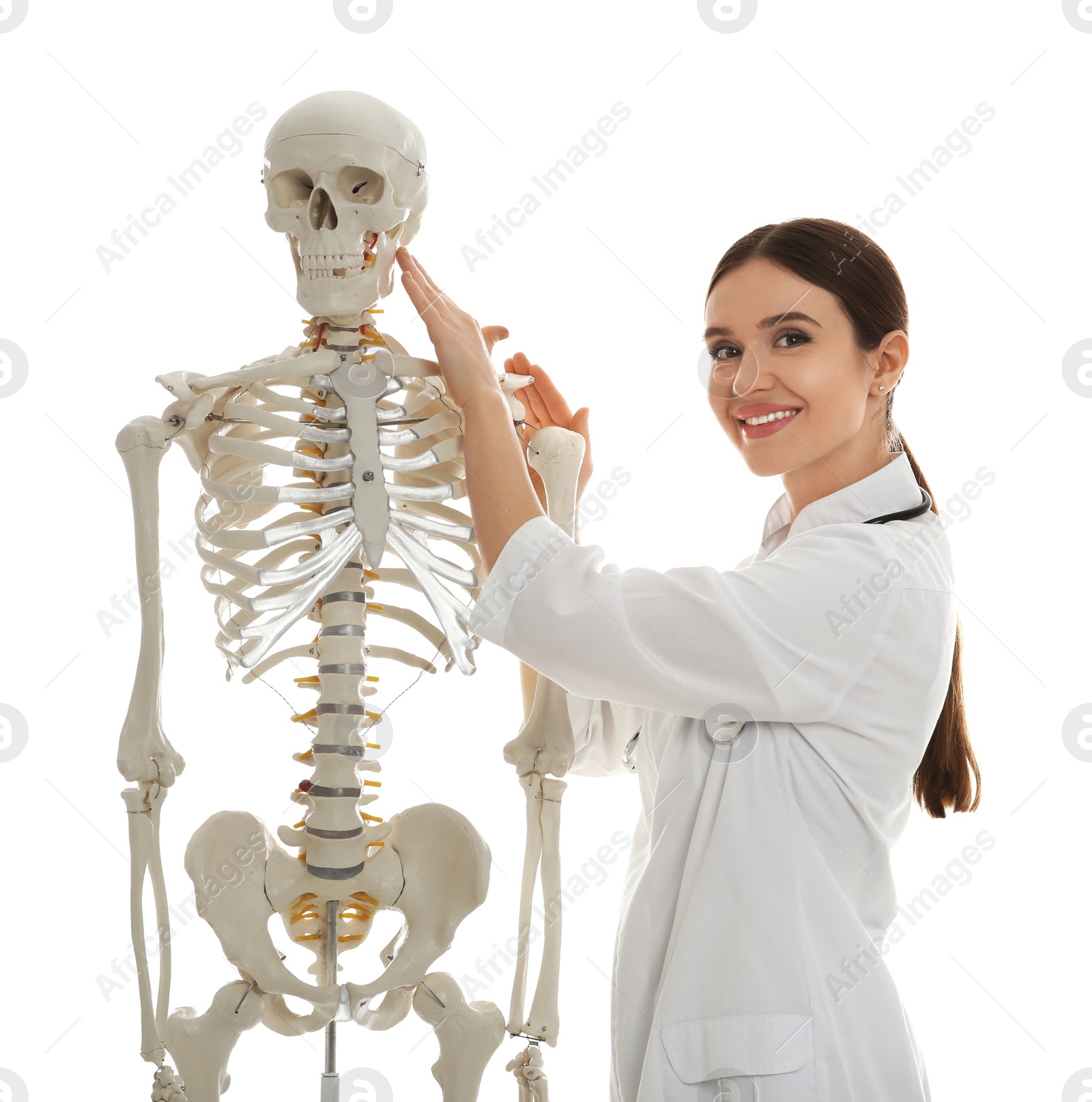 Photo of Female orthopedist with human skeleton model on white background