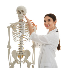 Photo of Female orthopedist with human skeleton model on white background