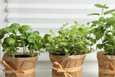 Photo of Different aromatic potted herbs on windowsill indoors, closeup