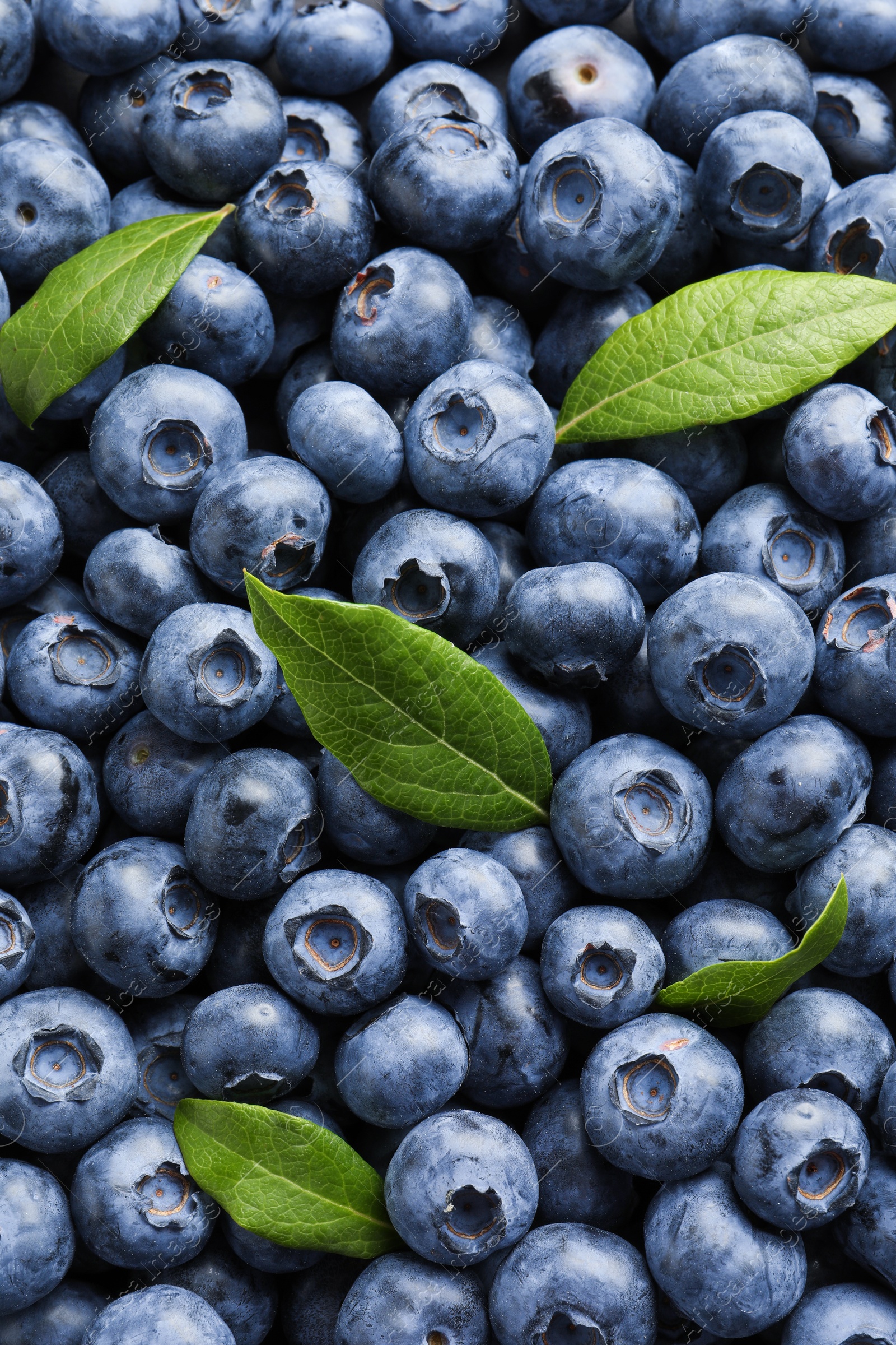 Photo of Tasty fresh blueberries with green leaves as background, top view