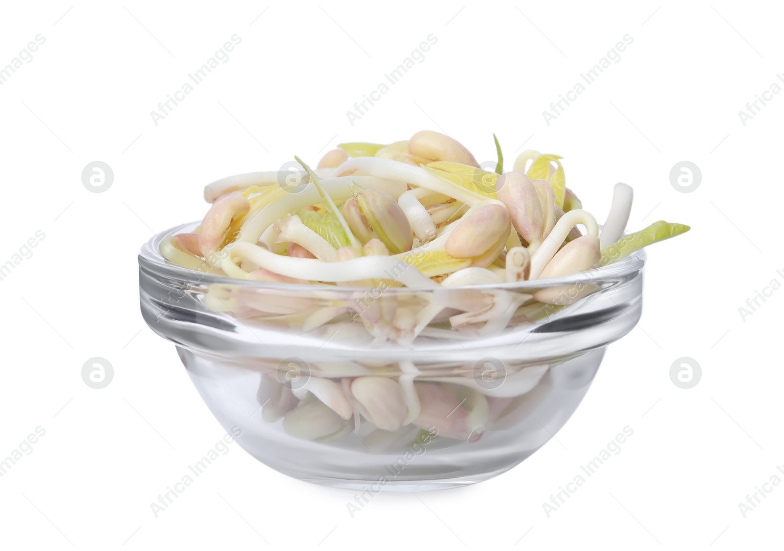 Photo of Mung bean sprouts in glass bowl isolated on white