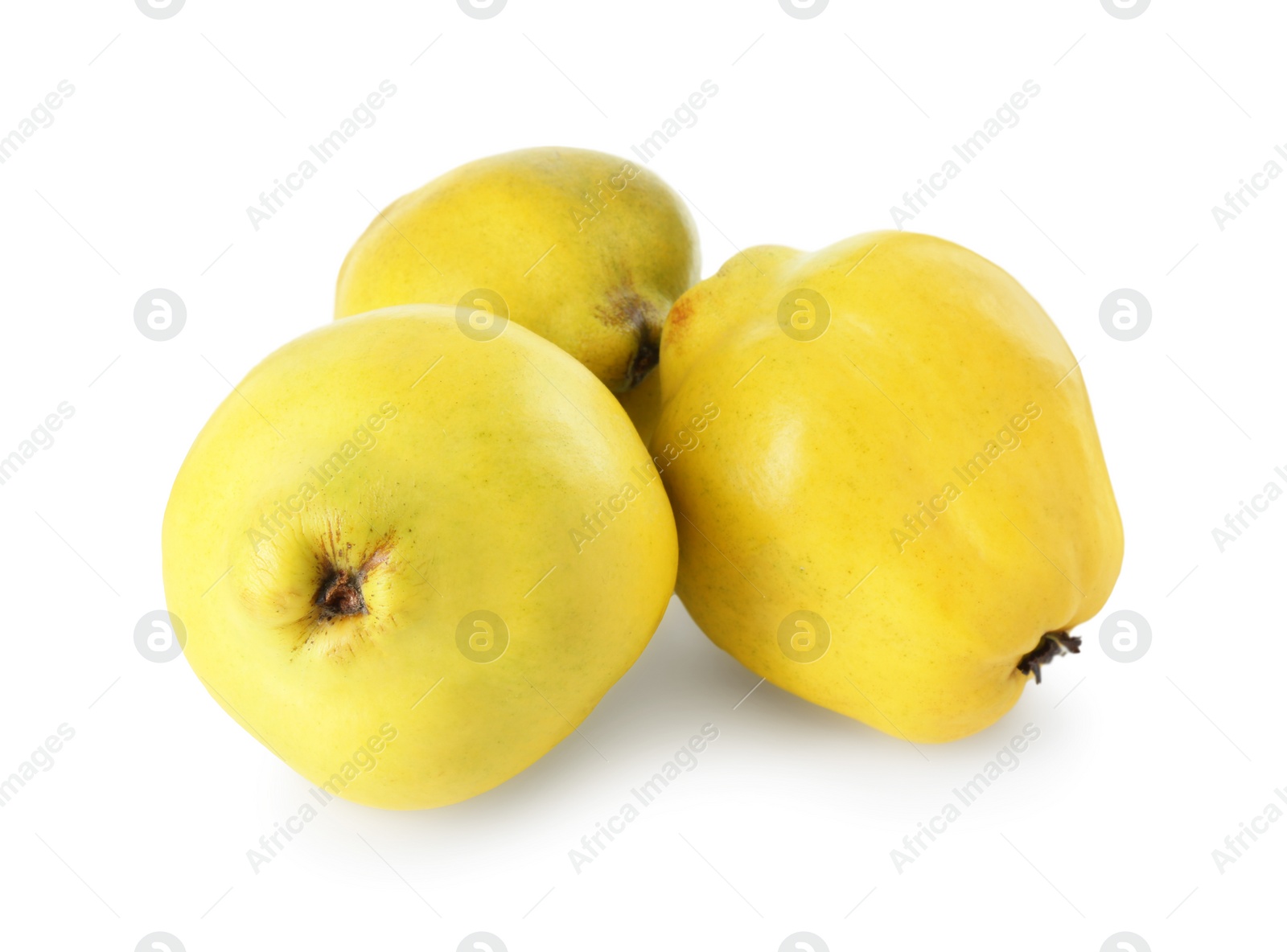 Photo of Delicious fresh ripe quinces isolated on white