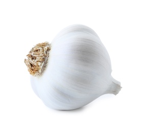 Photo of Fresh garlic on white background. Organic food