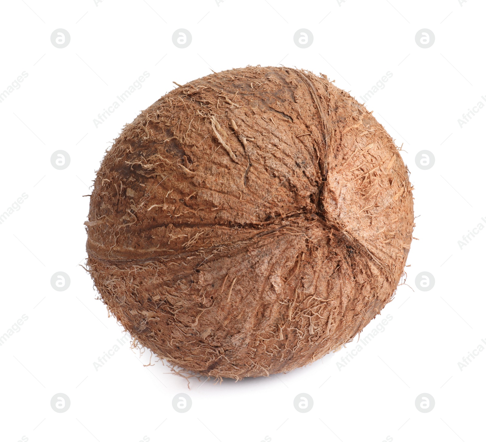 Photo of Fresh ripe whole coconut isolated on white