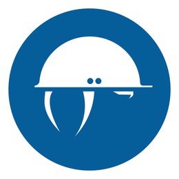 International Maritime Organization (IMO) sign, illustration. Hard hat symbol