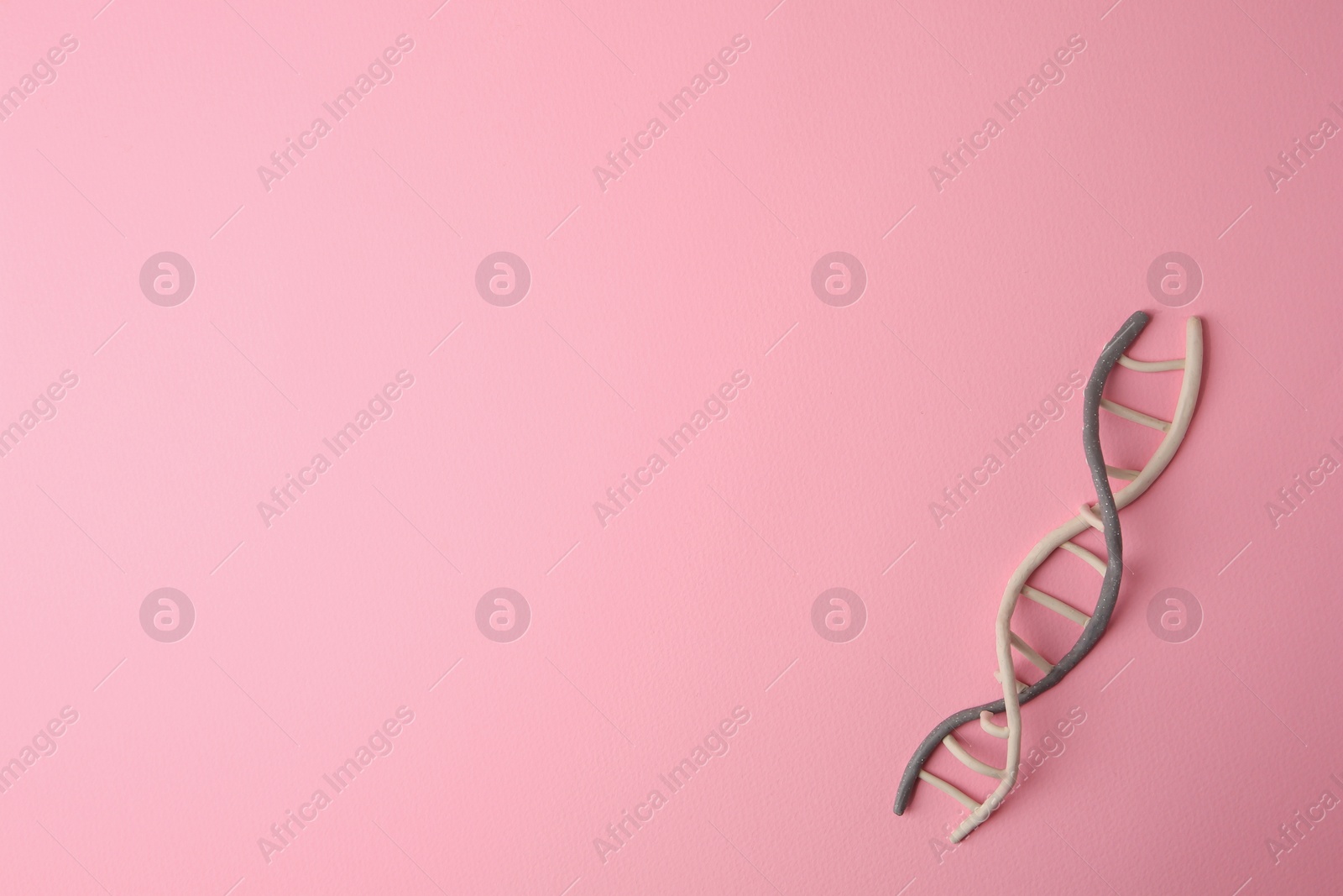 Photo of Plasticine model of DNA molecular chain on pink background, top view. Space for text