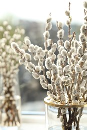 Photo of Beautiful pussy willow branches in glass vase on blurred background, closeup