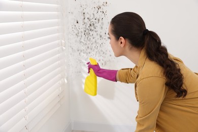 Woman in rubber gloves spraying mold remover onto wall in room