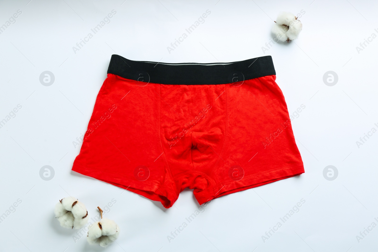 Photo of Men's underwear and cotton flowers on white background, top view