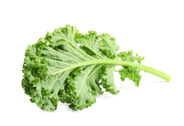 Photo of Fresh green kale leaf isolated on white