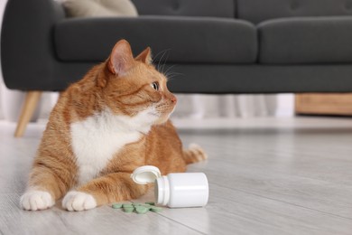 Photo of Cute ginger cat and vitamin pills indoors. Space for text