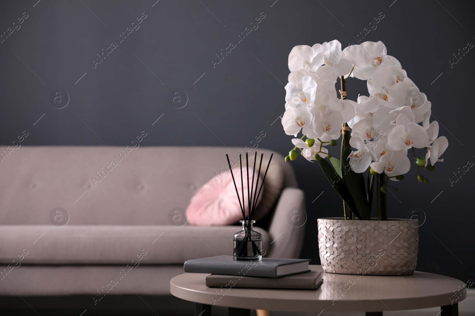 Photo of Beautiful orchid, books and air reed freshener on table indoors