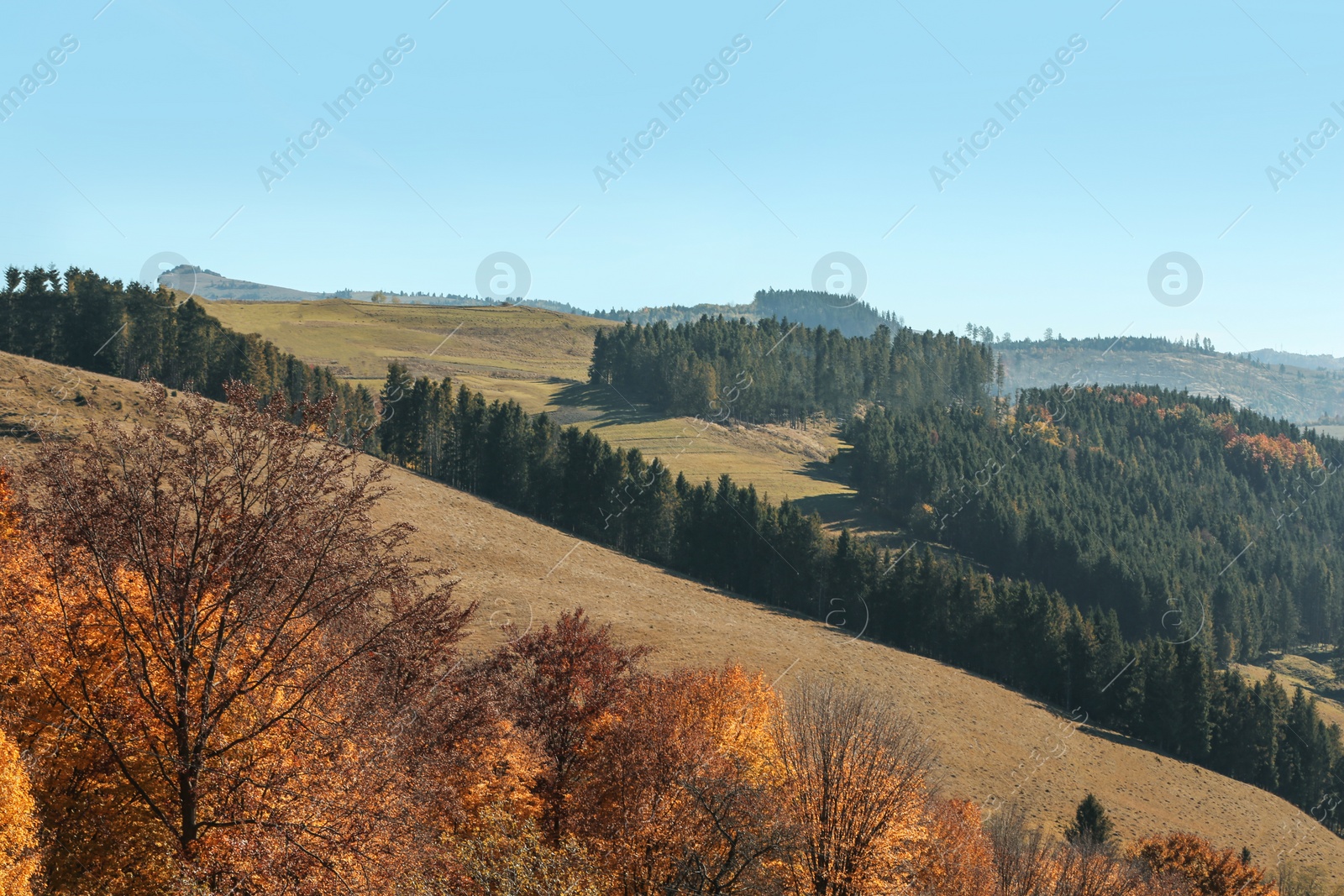 Photo of Beautiful landscape with blue sky over mountain slopes