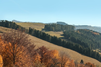 Beautiful landscape with blue sky over mountain slopes