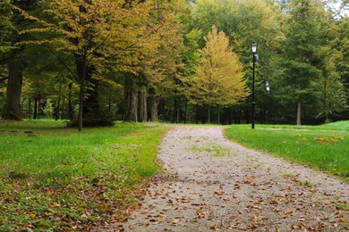 Photo of Pathway for walking and jogging in green beautiful public city park on autumn day