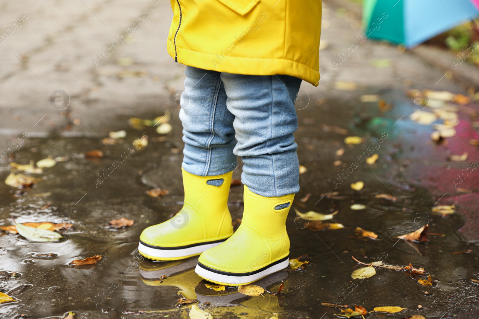 Photo of Little girl standing in puddle outdoors, closeup