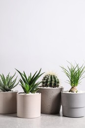 Different house plants in pots on grey table against white background, space for text