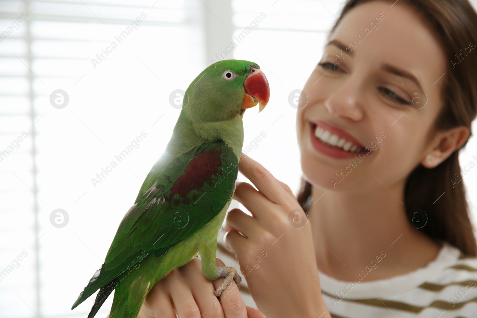 Photo of Young woman with cute Alexandrine parakeet indoors