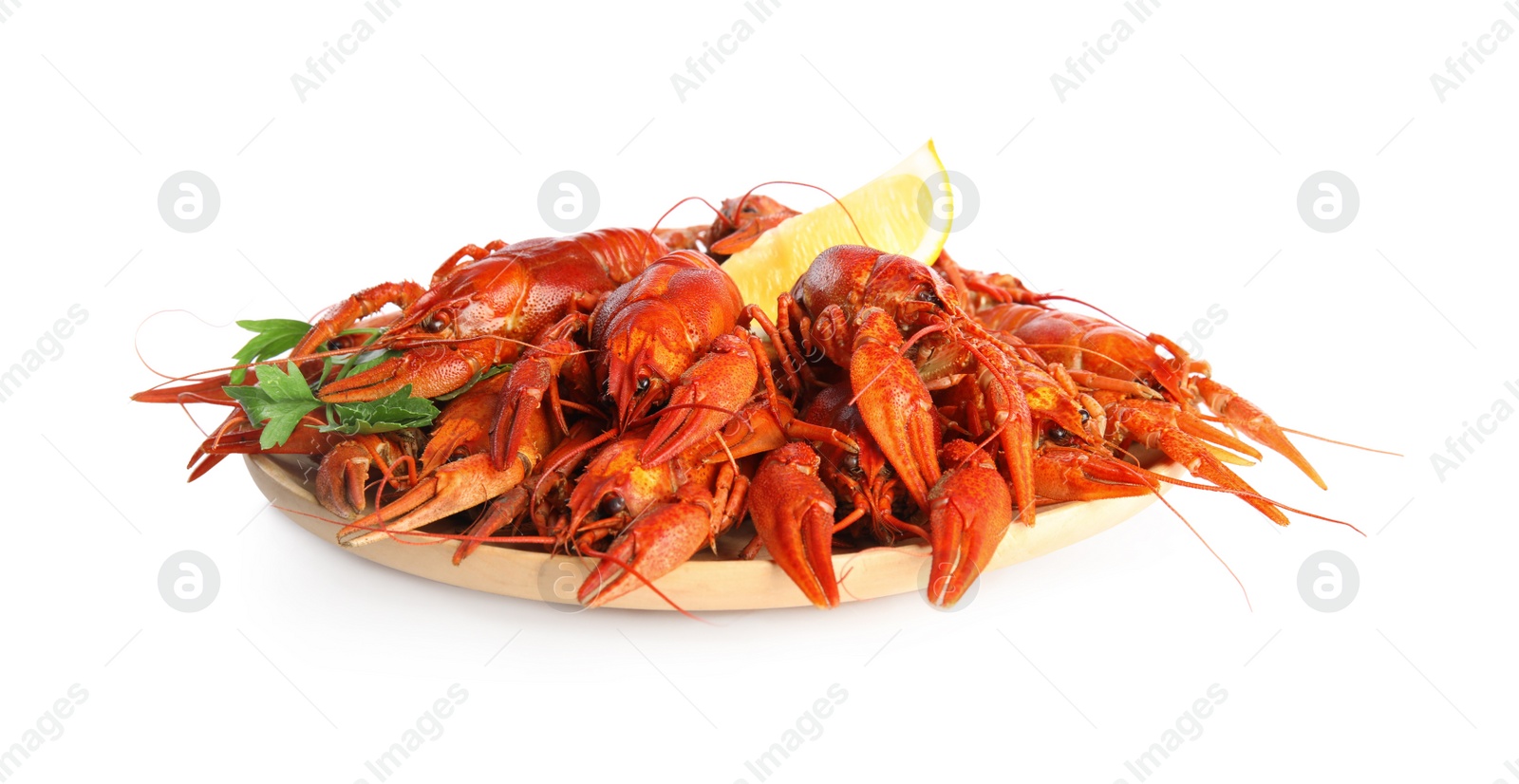 Photo of Plate with delicious boiled crayfishes on isolated white