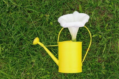 Photo of Watering can with beautiful datura flower on green grass, top view