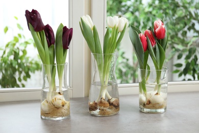 Photo of Beautiful tulips in glassware on grey window sill. Spring flowers