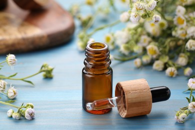 Photo of Bottle of essential oil with chamomile flowers on light blue wooden table, closeup