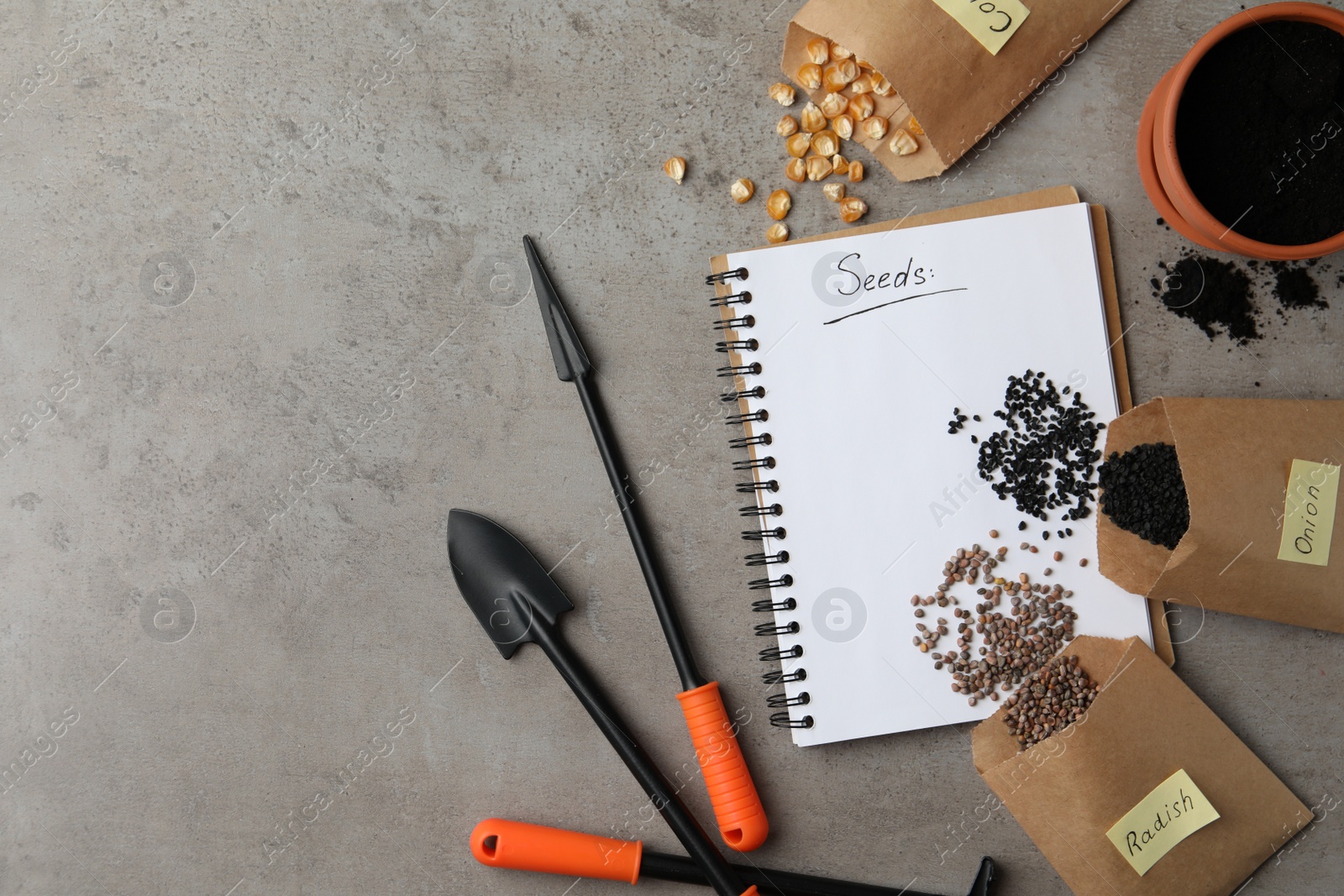 Photo of Vegetable seeds, notebook and gardening tools on grey table, flat lay. Space for text