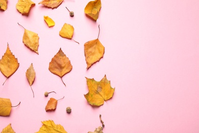 Photo of Flat lay composition with autumn leaves on pink background. Space for text