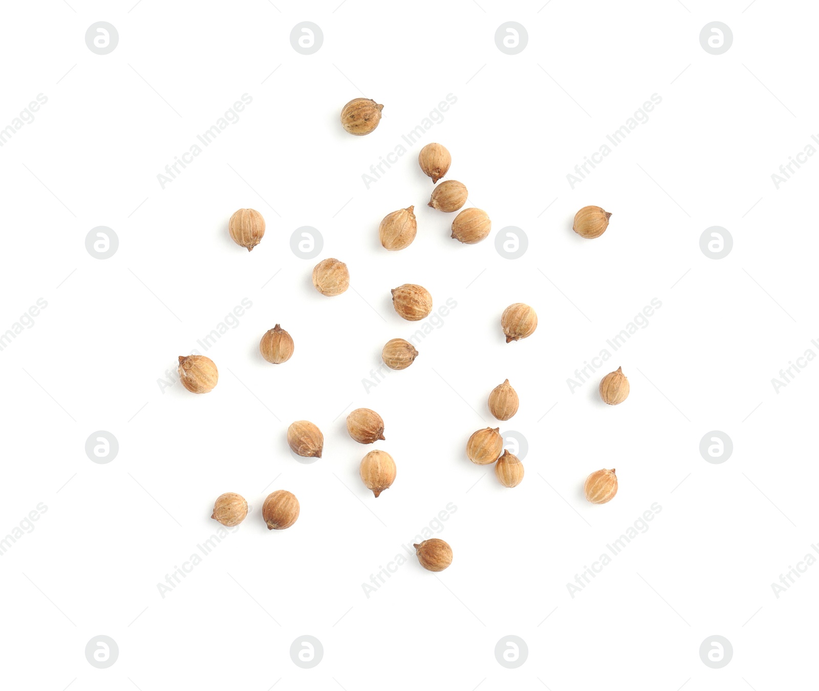 Photo of Scattered dried coriander seeds on white background, top view