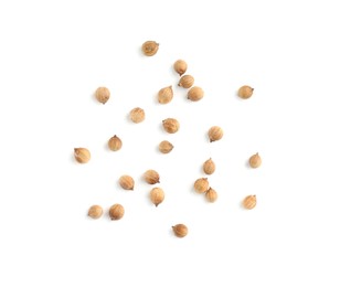 Scattered dried coriander seeds on white background, top view