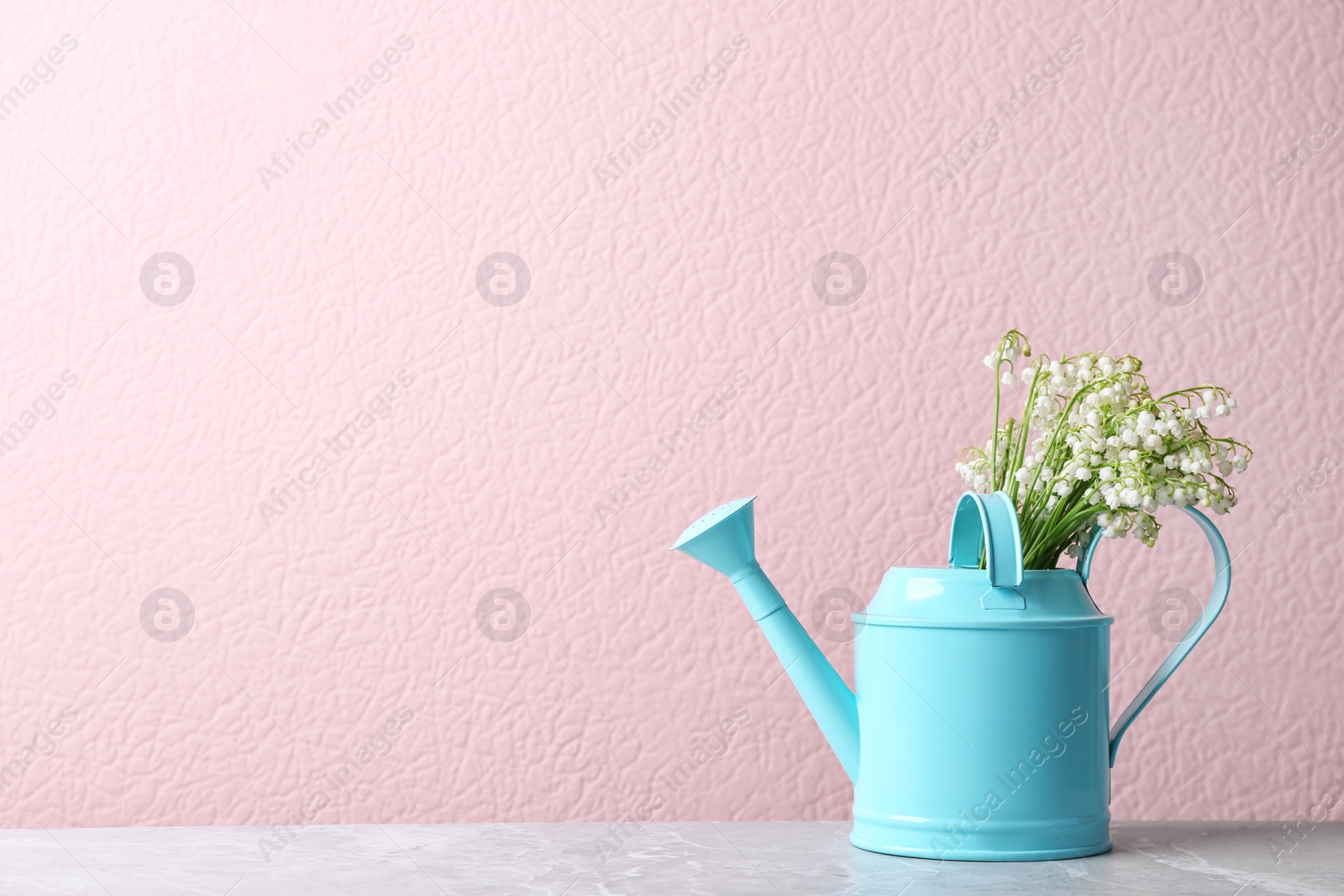 Photo of Beautiful lily of the valley bouquet in watering can on table near color wall, space for text