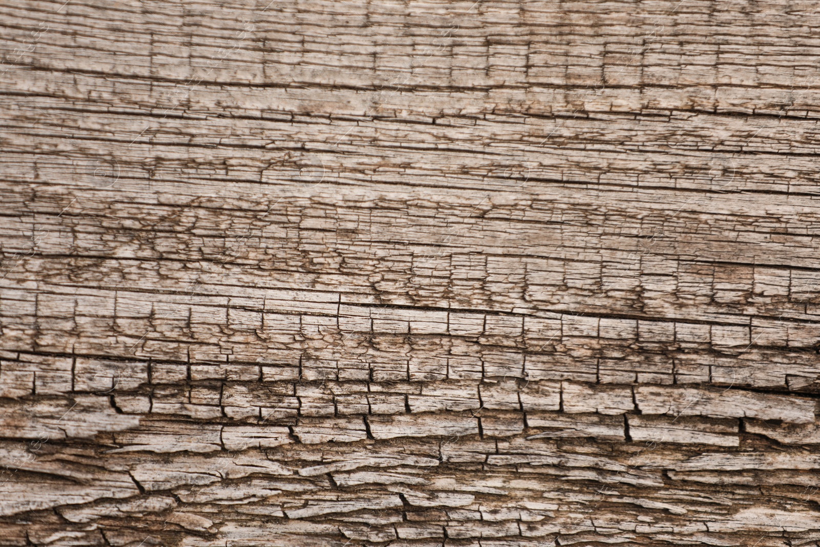 Photo of Textured wooden surface as background, closeup view