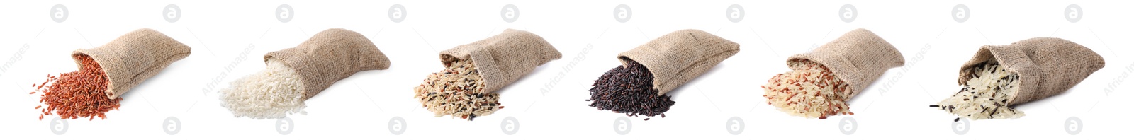 Image of Set with different types of rice in bags on white background. Banner design