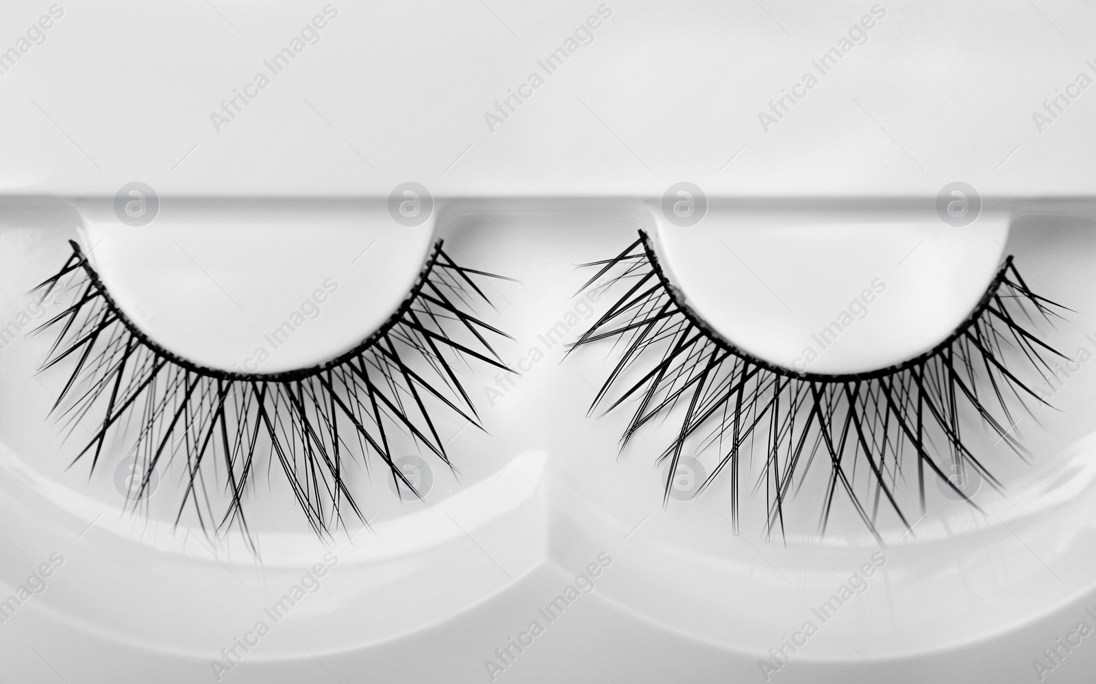 Photo of False eyelashes in pack, closeup