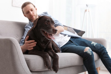 Adorable brown labrador retriever with owner on couch indoors