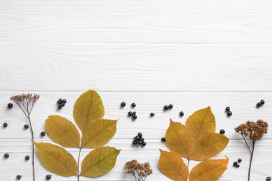 Photo of Flat lay composition with autumn leaves, dried yarrow flowers and black berries on white wooden table. Space for text